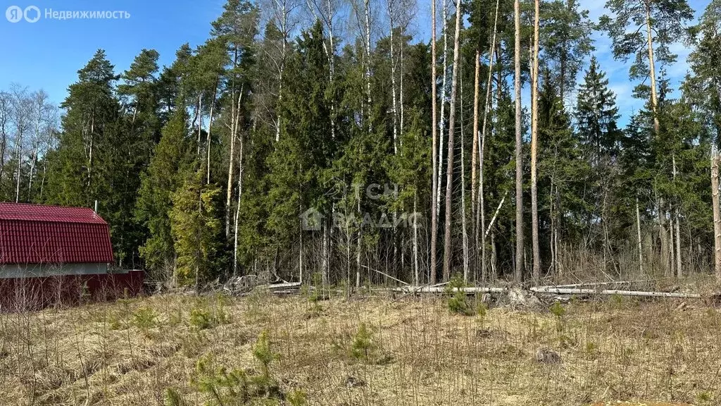 Участок в деревня Митянино, Любимая улица (10 м) - Фото 2