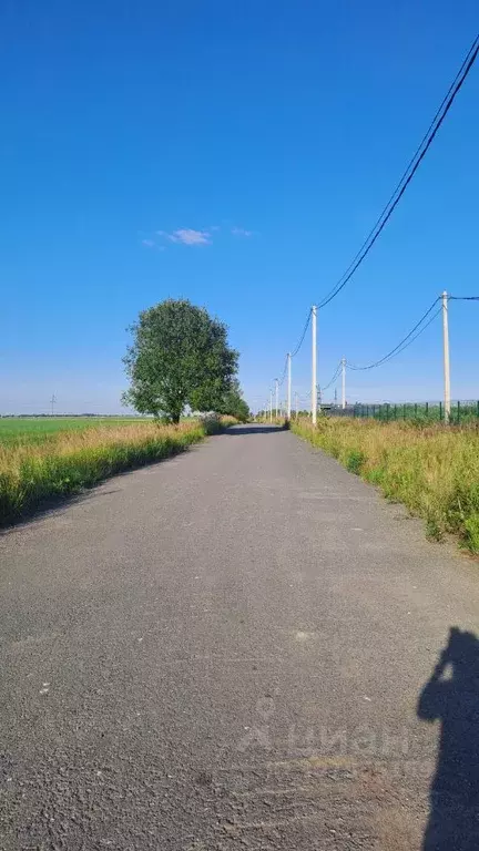 Участок в Ленинградская область, Тосненский район, Федоровское ... - Фото 0