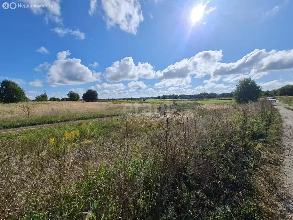 Участок в село Слободище, Школьная улица (25.2 м) - Фото 1