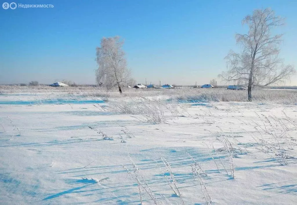 Участок в Брянск, садоводческое товарищество Надежда (6 м) - Фото 0