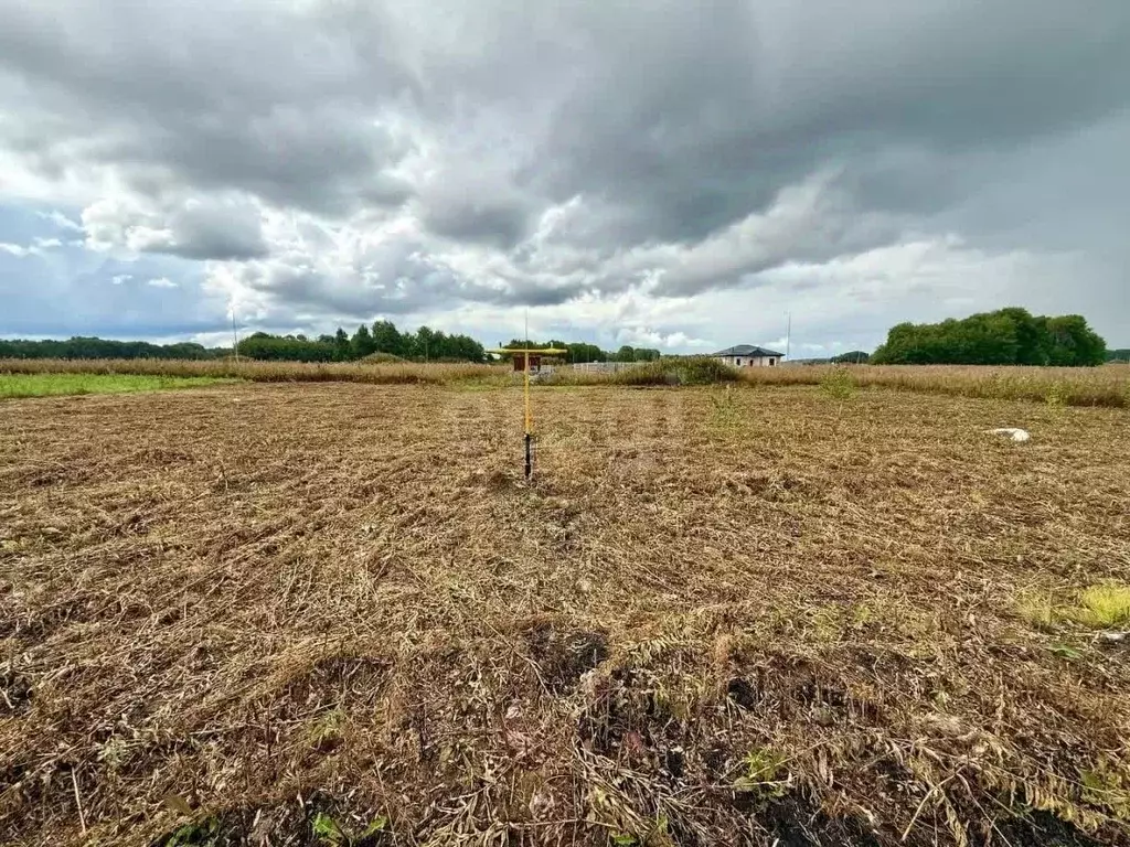 Участок в Ставропольский край, Шпаковский муниципальный округ, с. ... - Фото 1