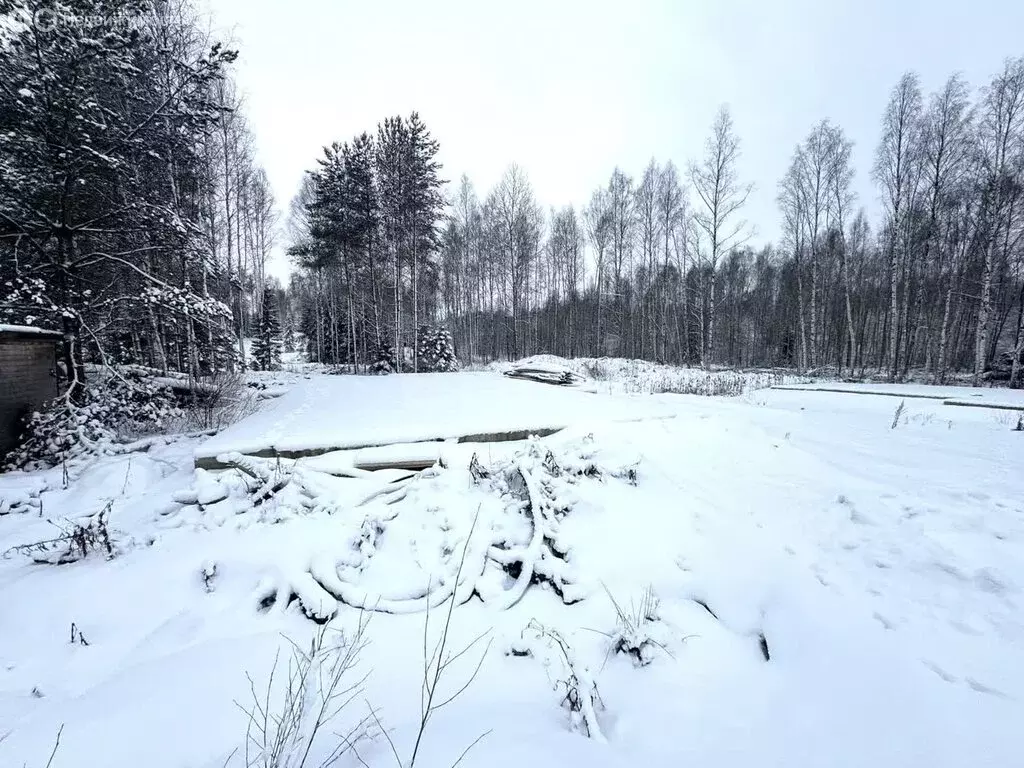 Участок в деревня Мистолово, улица Юркина (14 м) - Фото 1