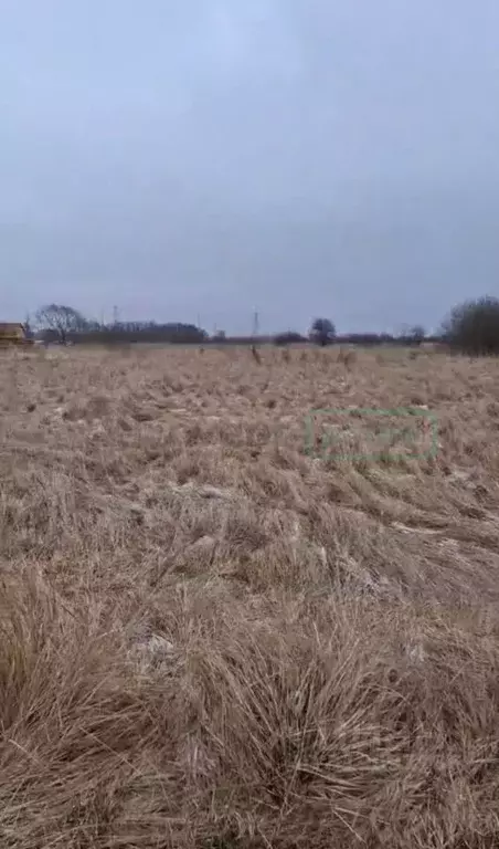 Участок в Калининградская область, Гурьевский муниципальный округ, ... - Фото 0