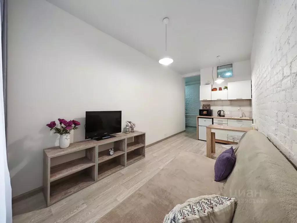 Студия Санкт-Петербург Нейшлотский пер., 15в (25.0 м) - Фото 1