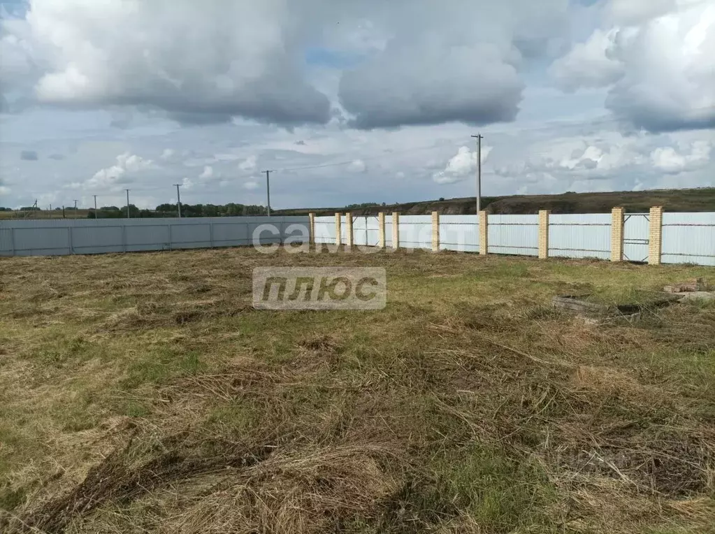 Участок в Омская область, Кормиловский район, д. Корниловка Зеленая ... - Фото 0