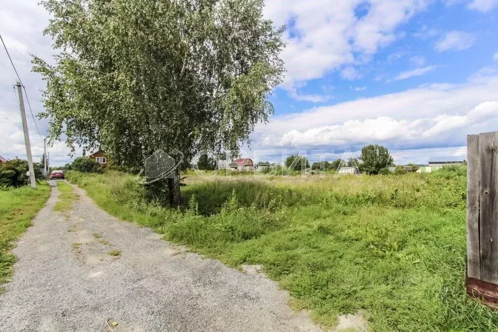 Участок в Тюменская область, Тюмень Царево садовое товарищество, ул. ... - Фото 2