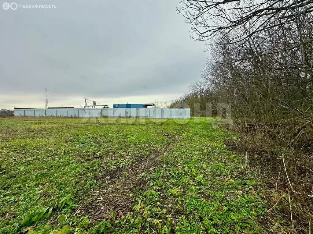 Участок в Воронежская область, рабочий посёлок Рамонь, улица ... - Фото 1