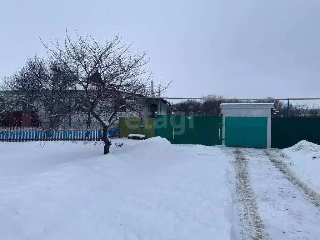 Дом в Белгородская область, Корочанский район, Жигайловское с/пос, с. ... - Фото 1