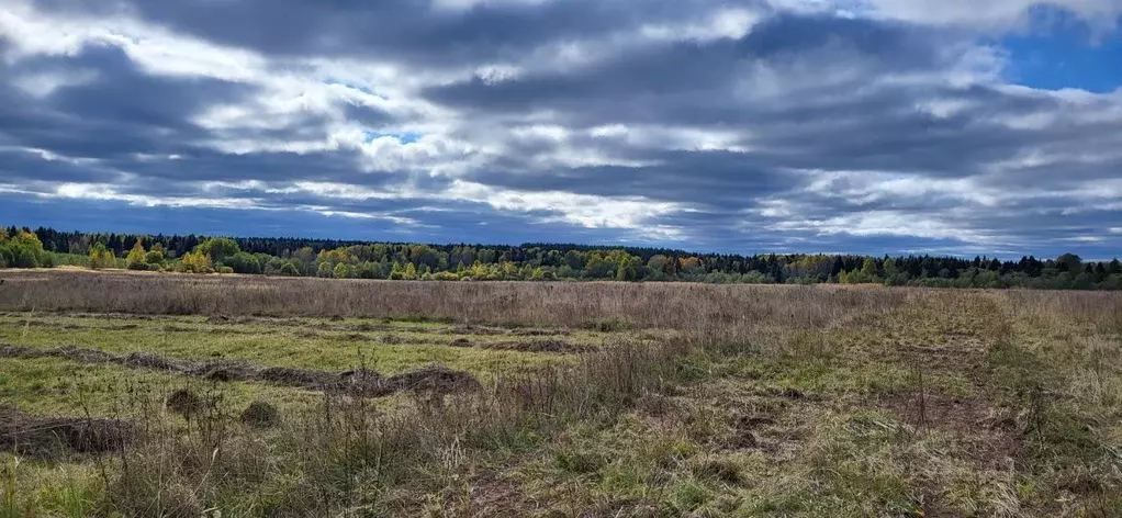 Участок в Ярославская область, Тутаевский муниципальный округ, ... - Фото 1