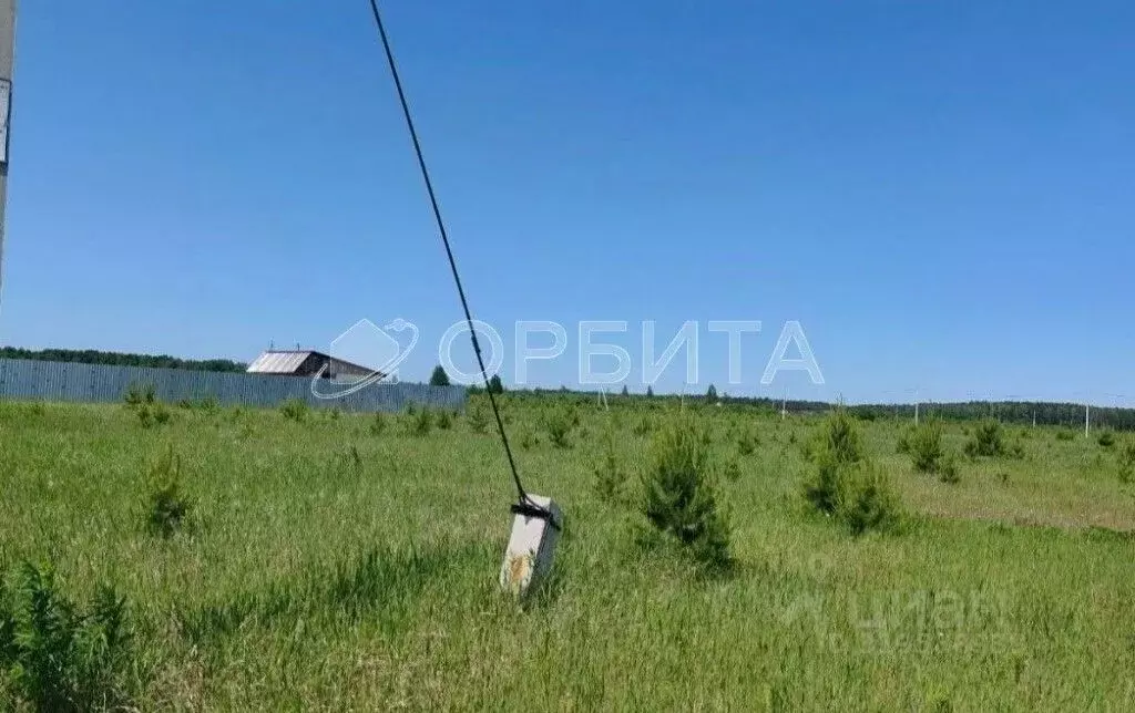 Участок в Тюменская область, Тюменский район, д. Малиновка, Малиновка ... - Фото 1