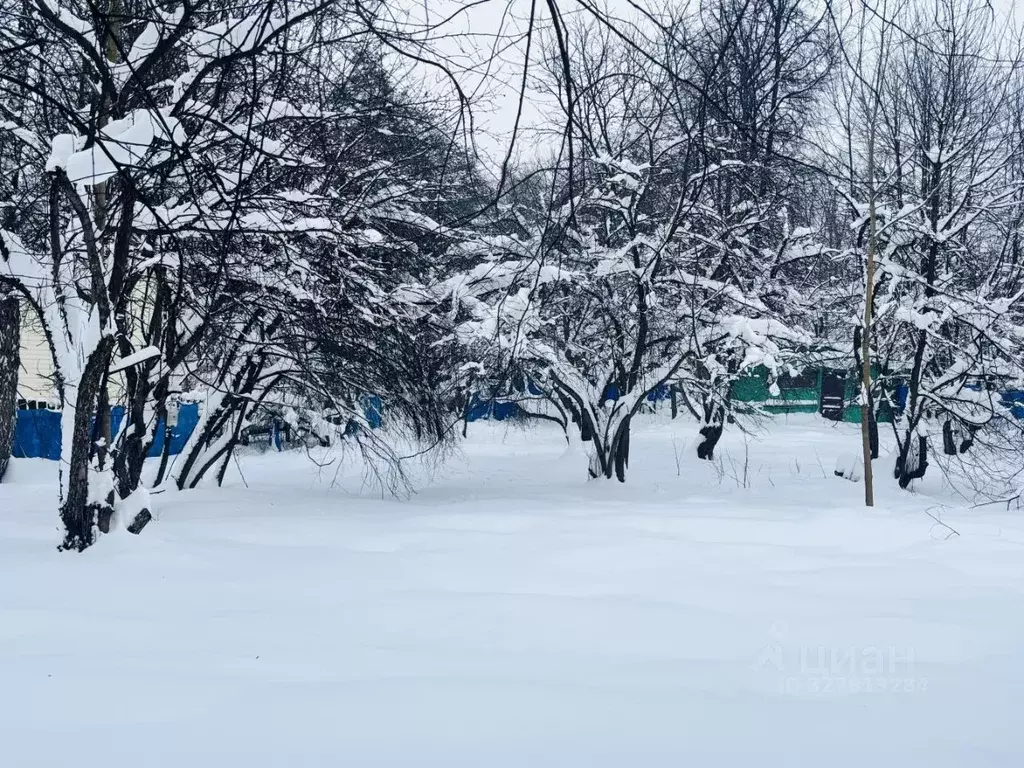 Участок в Московская область, Балашиха Никольско-Архангельский мкр, ... - Фото 1
