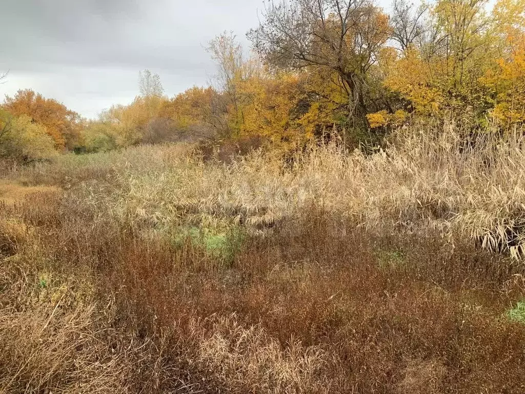 Участок 28,5 сот. (личное подсобное хозяйство (лпх)) - Фото 1