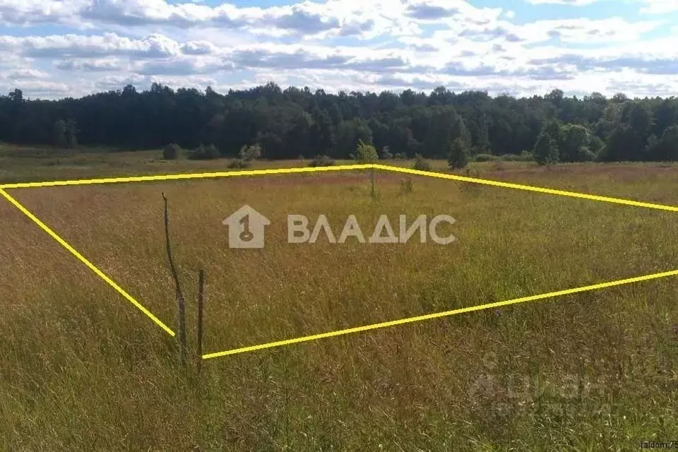 Участок в Ленинградская область, Ломоносовский район, Русско-Высоцкое ... - Фото 1