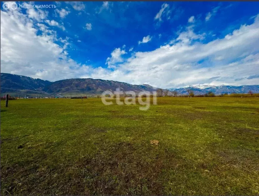 Участок в Усть-Кокса, улица Нагибина (15 м) - Фото 2