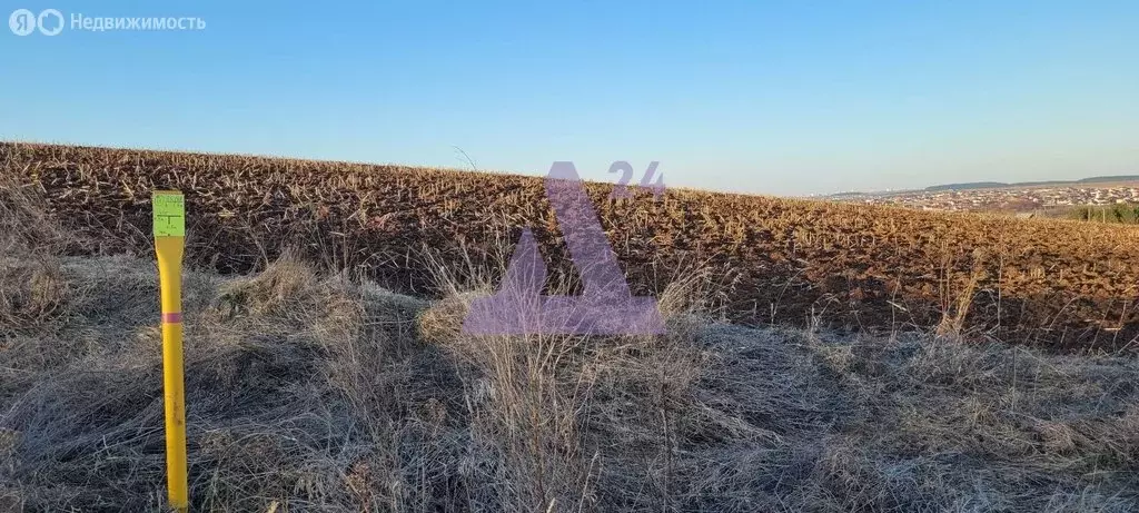 Участок в Пермский муниципальный округ, село Башкултаево (320 м) - Фото 1