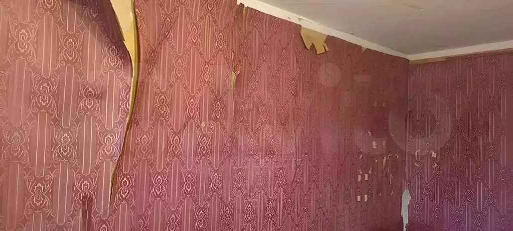 1-к кв. Московская область, Чехов муниципальный округ, д. Манушкино 16 ... - Фото 1