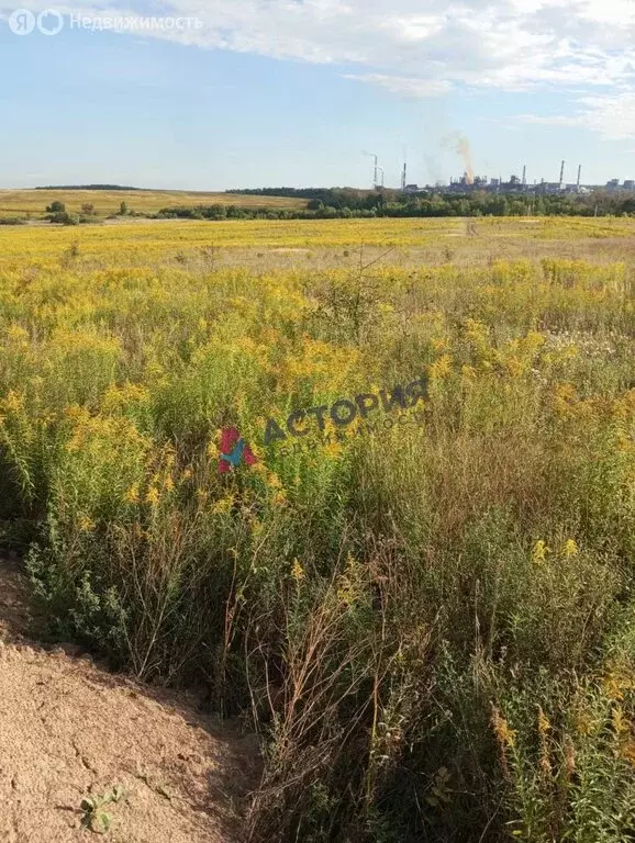 Участок в Тульская область, городской округ Тула, деревня Морозовка ... - Фото 1