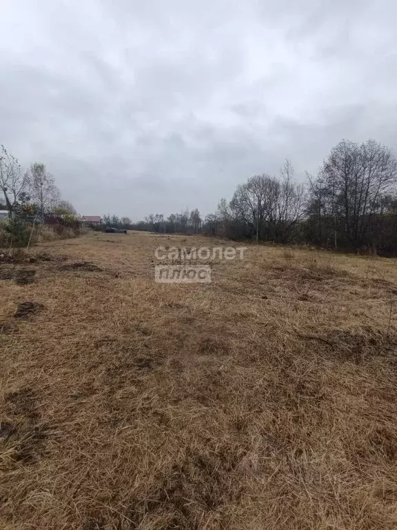 Участок в Московская область, Егорьевск городской округ, д. Алешино  ... - Фото 1