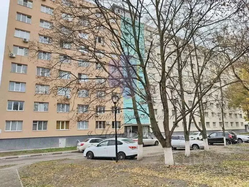 1-к кв. Белгородская область, Старый Оскол Молодогвардеец мкр, 1 (23.0 ... - Фото 2