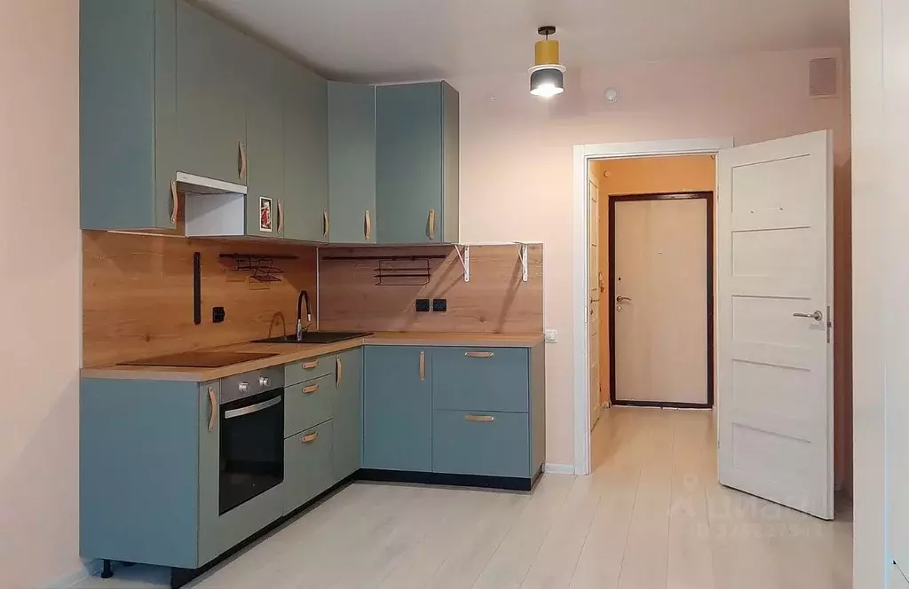 Студия Санкт-Петербург ш. Суздальское, 20к4 (27.4 м) - Фото 2