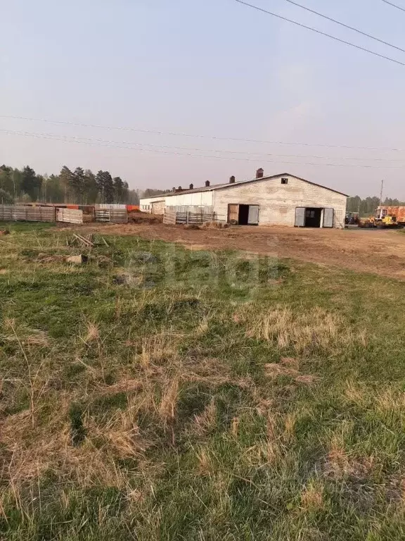 Помещение свободного назначения в Свердловская область, Тавдинский ... - Фото 1