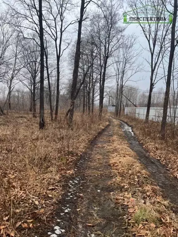 Участок в Приморский край, Артемовский городской округ, с. Ясное ул. ... - Фото 1