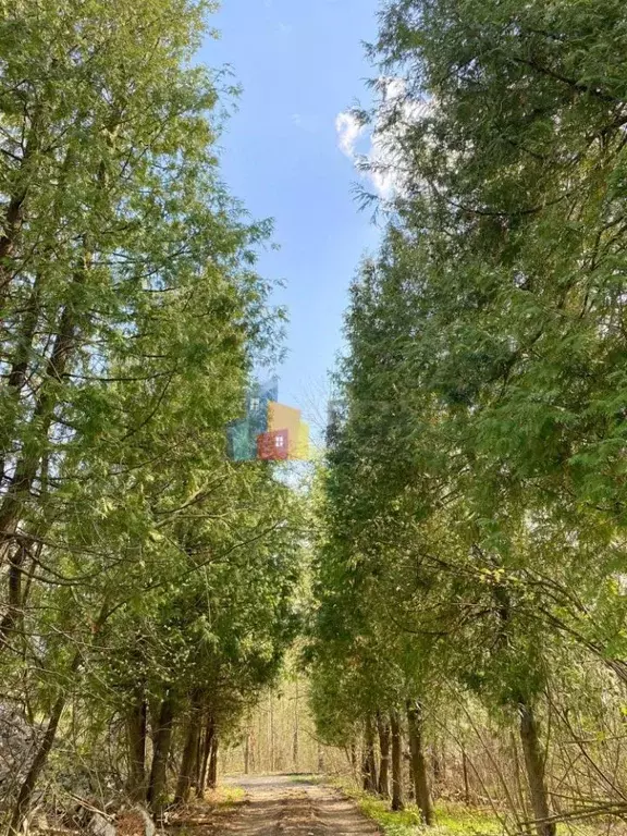 Дом в Тульская область, Тула городской округ, д. Скобелево  (166 м) - Фото 1