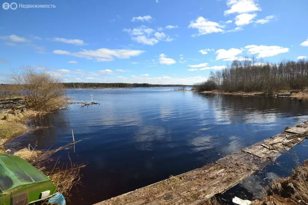 Участок в посёлок Суда, улица Гагарина (91 м) - Фото 1