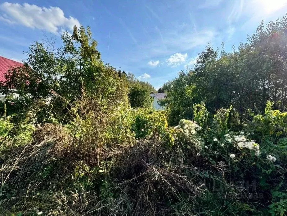 Участок в Московская область, Солнечногорск городской округ, д. ... - Фото 0