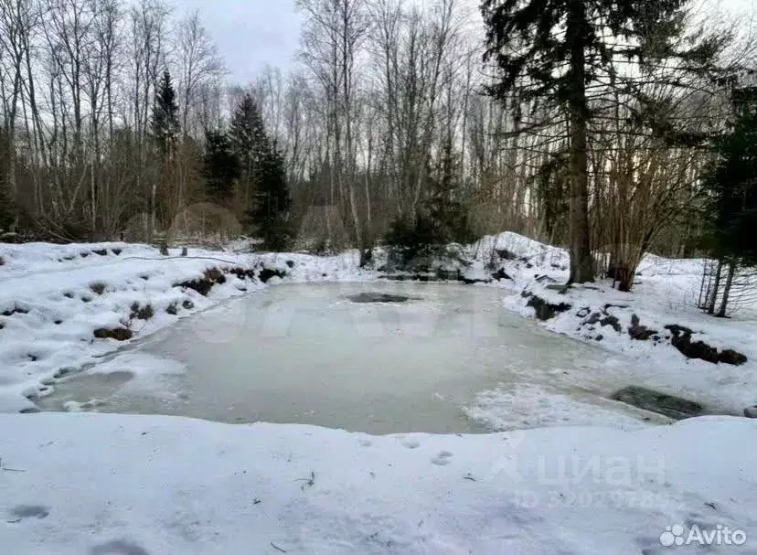 Участок в Псковская область, Порховский муниципальный округ, д. ... - Фото 2