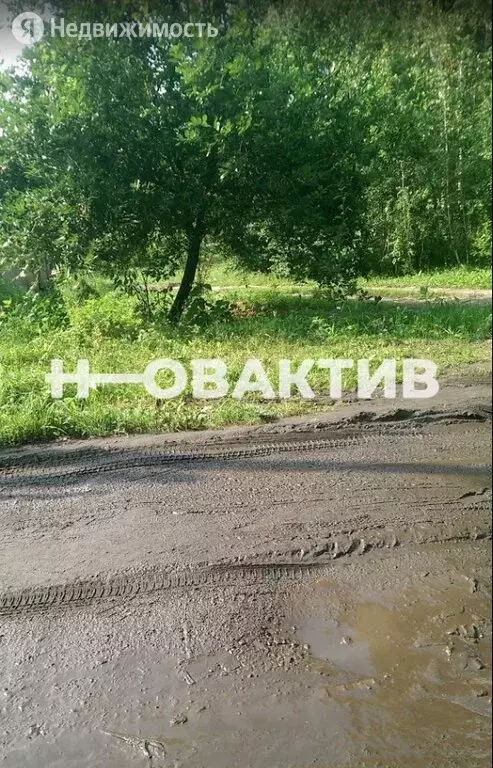 Купить Участок Снт Мир Родниковая Улица