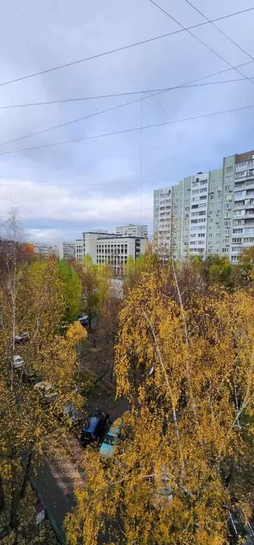 3-к кв. Москва Елецкая ул., 16К3 (65.0 м) - Фото 2