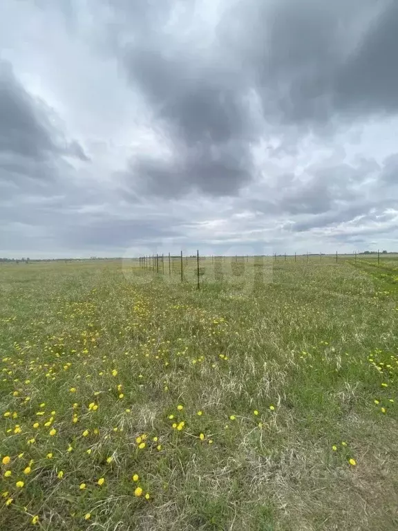 Участок в Тюменская область, Тюмень  (7.32 сот.) - Фото 1