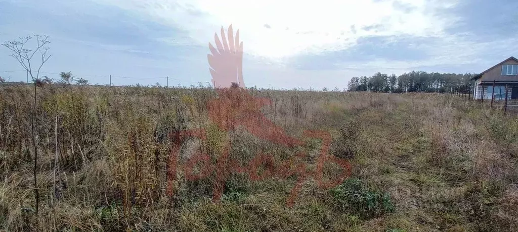 Участок в Орловская область, Орловский район, с. Сабурово  (15.0 сот.) - Фото 1