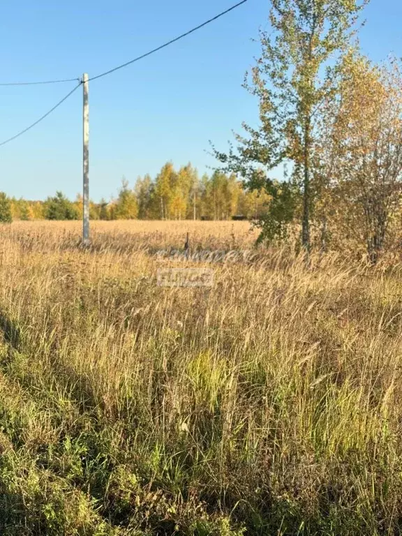 Участок в Марий Эл, Йошкар-Ола городской округ, д. Апшакбеляк ул. ... - Фото 1