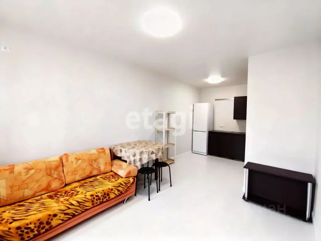 Студия Тюменская область, Тюмень ул. Тимофея Чаркова, 87 (26.0 м) - Фото 2