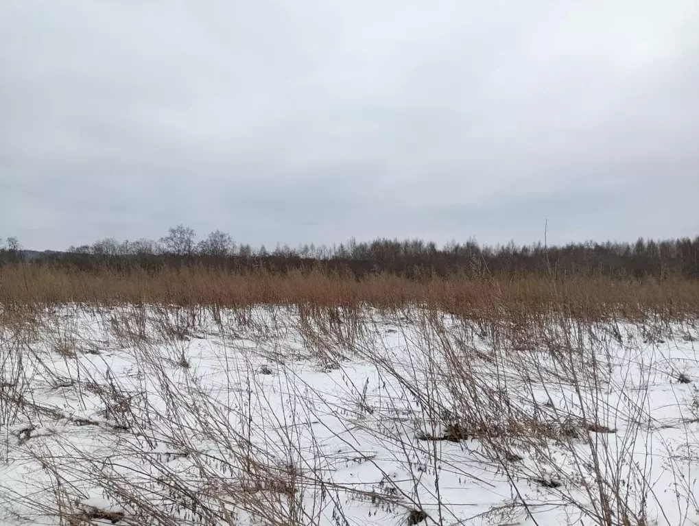 Участок в Московская область, Клин городской округ, д. Теренино  ... - Фото 0