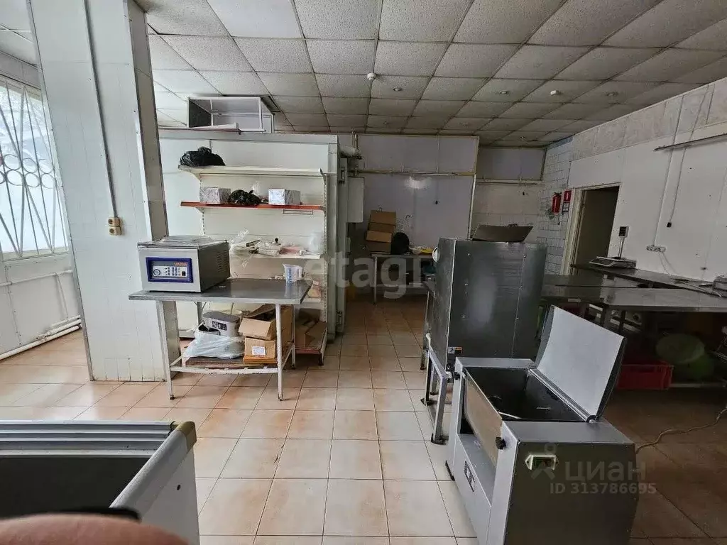 Помещение свободного назначения в Калужская область, Калуга ул. ... - Фото 1