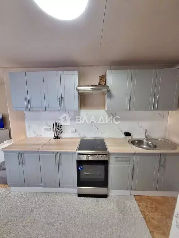 Дом в Алтайский край, Барнаул Пригородное СНТ, ул. Солнечная, 114 (50 ... - Фото 1