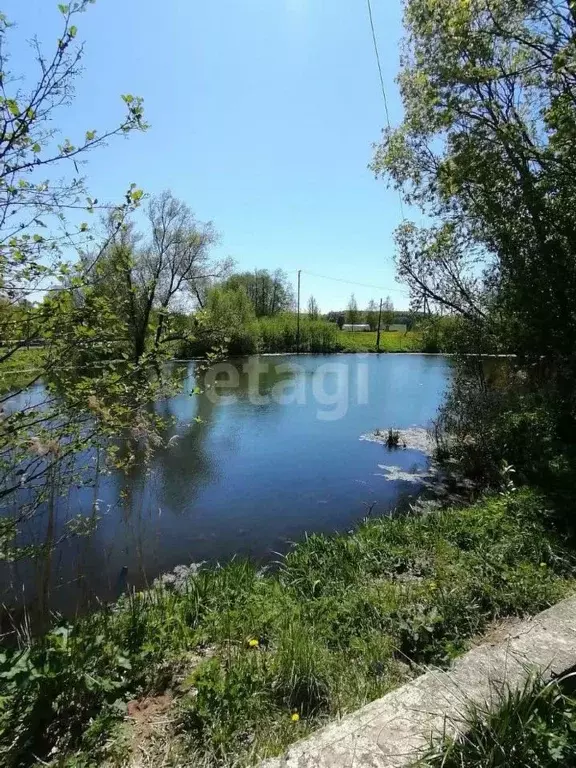 Участок в Московская область, Клин городской округ, д. Мякинино 1 ... - Фото 0