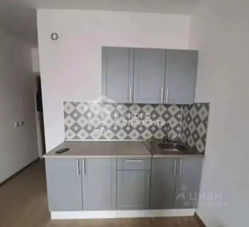 Студия Санкт-Петербург ул. Летчика Лихолетова, 14к4 (24.9 м) - Фото 2