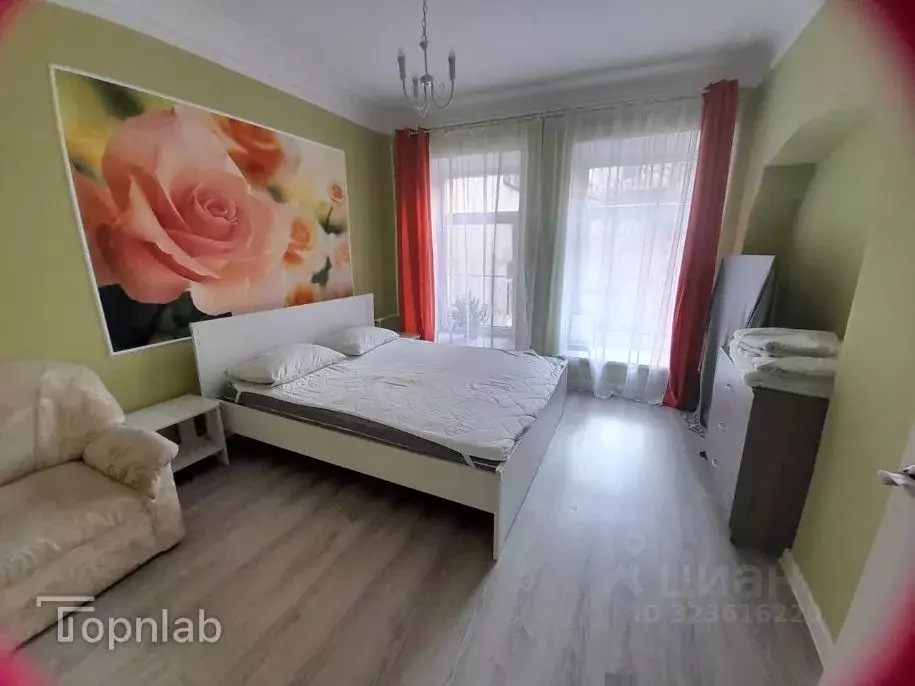 3-к кв. Санкт-Петербург ул. Рубинштейна, 22Б (68.0 м) - Фото 2