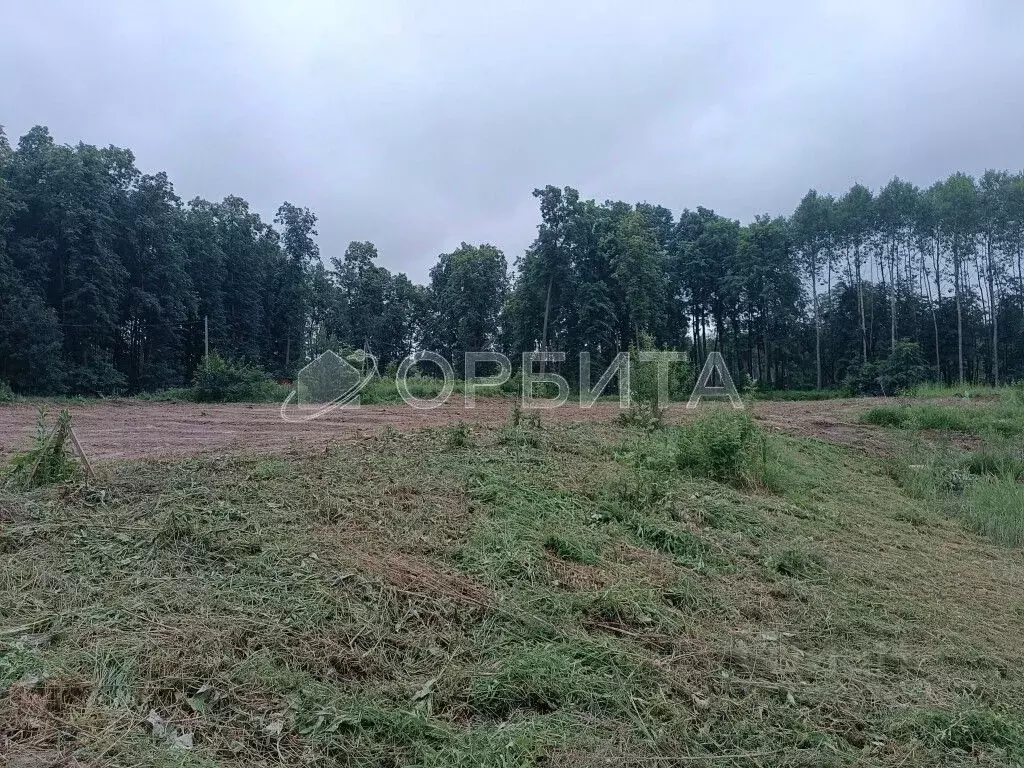 Участок в Тюменская область, Нижнетавдинский муниципальный округ, д. ... - Фото 2