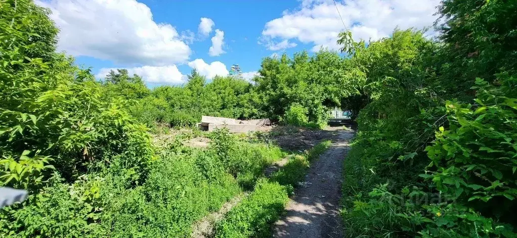 Участок в Новосибирская область, Куйбышев ул. Ленина, 16 (11.0 сот.) - Фото 2