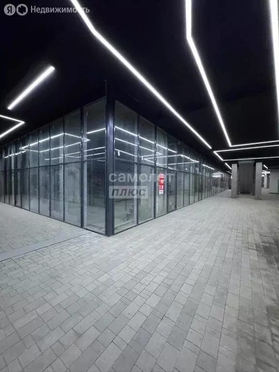 Помещение свободного назначения (32 м) - Фото 2