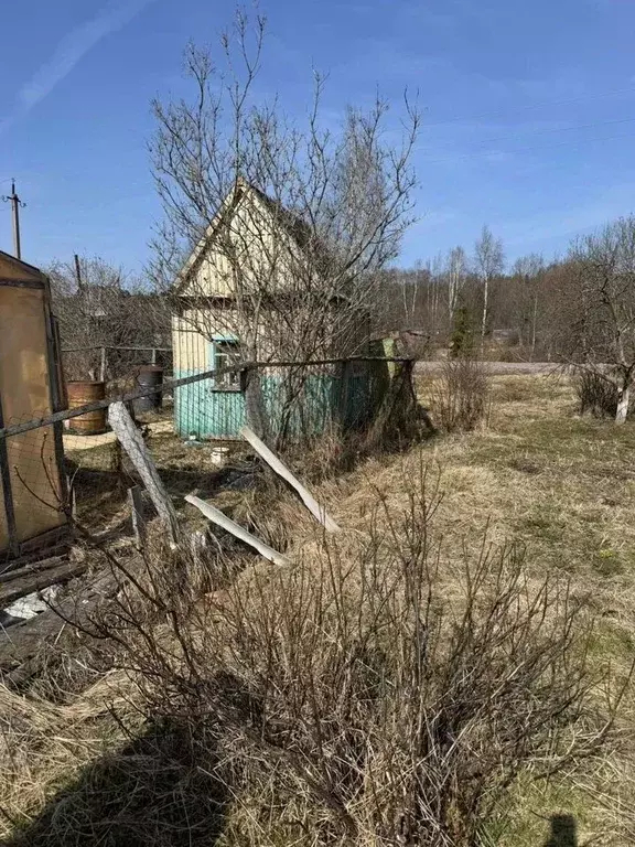 Участок в Ленинградская область, Сосновый Бор  (7.0 сот.) - Фото 2