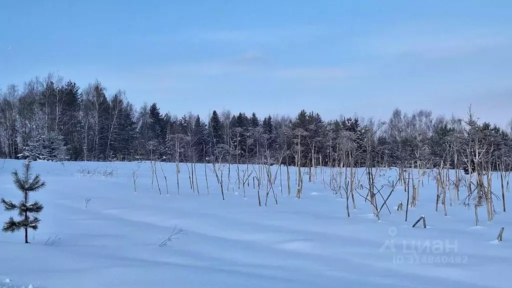 Участок в Пермский край, Оханский городской округ, д. Березовка  (8.0 ... - Фото 1