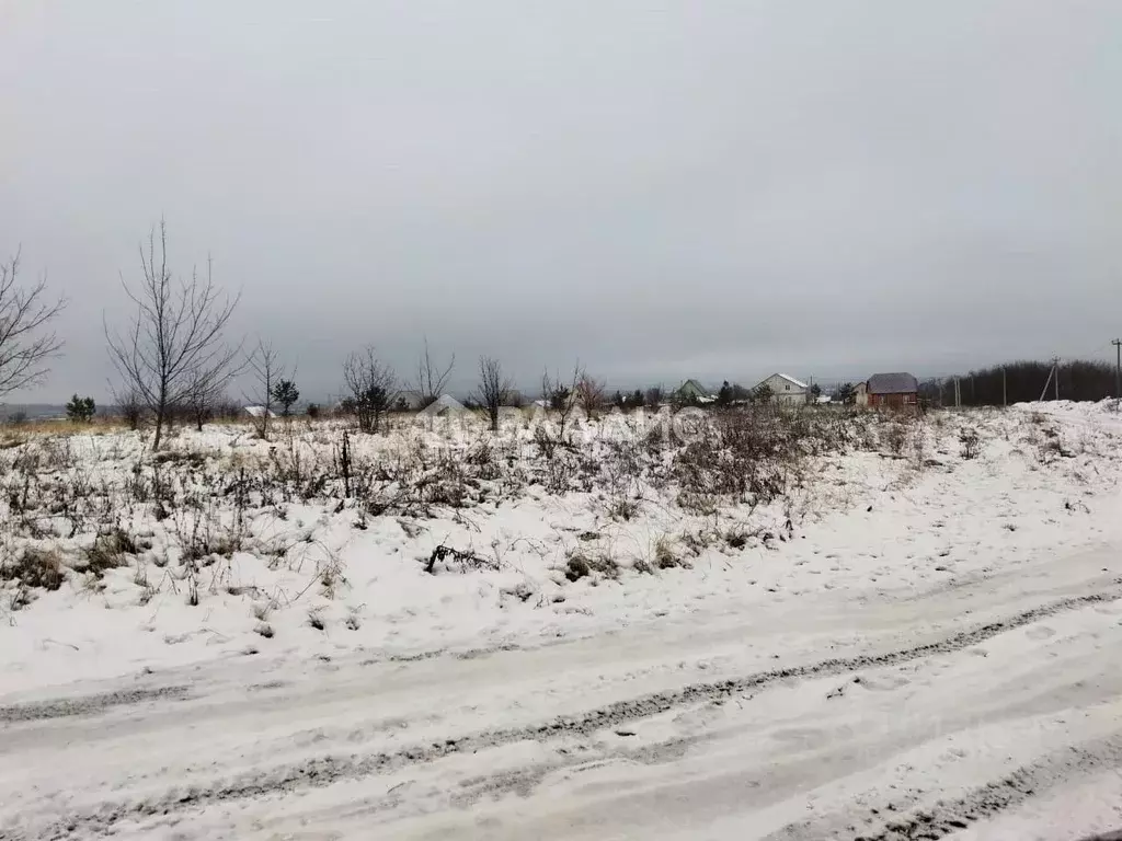 Участок в Пензенская область, Бессоновский район, пос. Подлесный  (8.7 ... - Фото 2