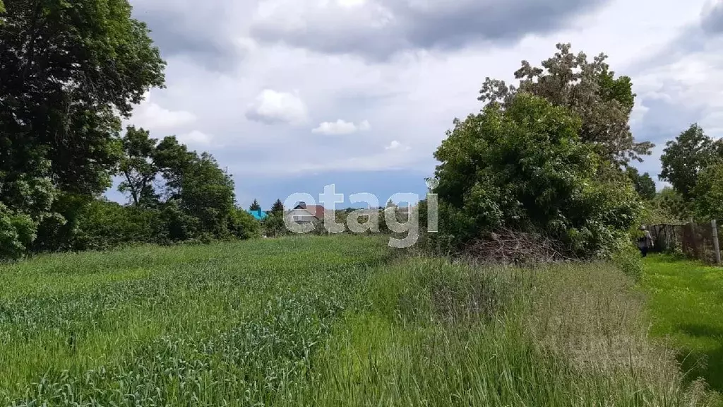 Участок в Белгородская область, Корочанский район, с. Мелихово  (42.72 ... - Фото 1