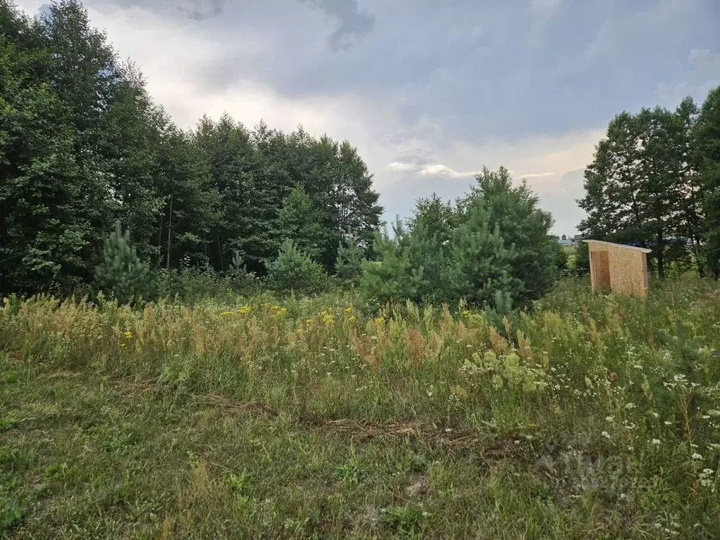 Участок в Владимирская область, Собинский муниципальный округ, д. ... - Фото 2